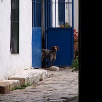 Photo de Espagne - Séville